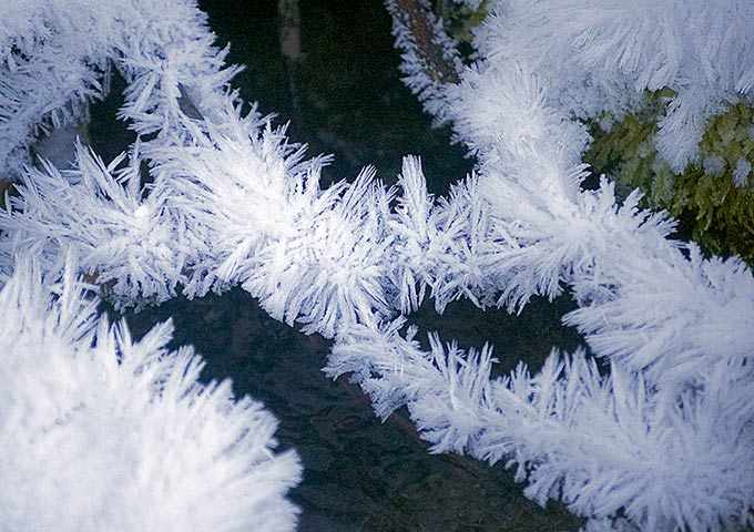 rimed hoar frost in porter fork